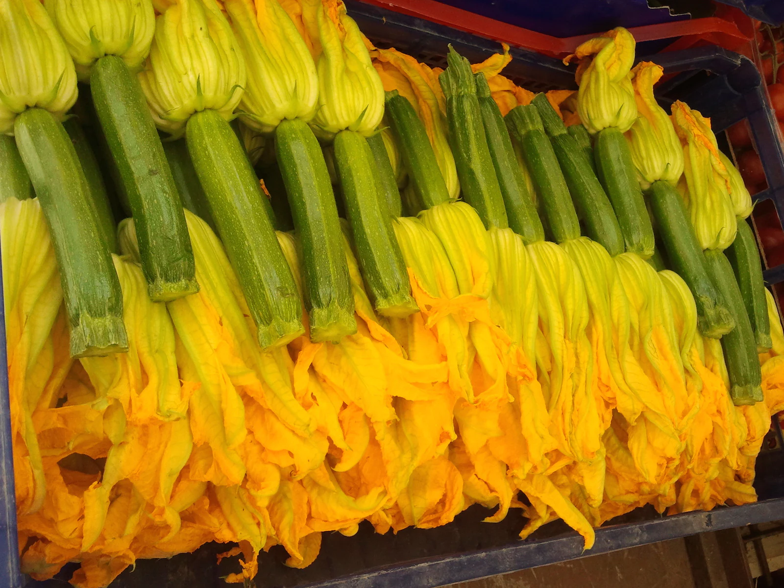 Frische Zucchini mit Blüten auf dem Markt